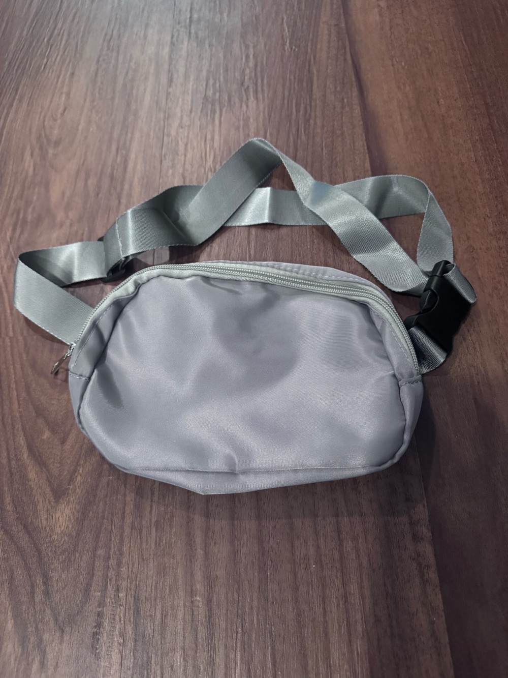 Minimalist Gray Women's Crossbody Waist Bag